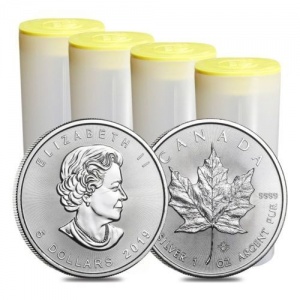 What to look out for when buying Silver Maples